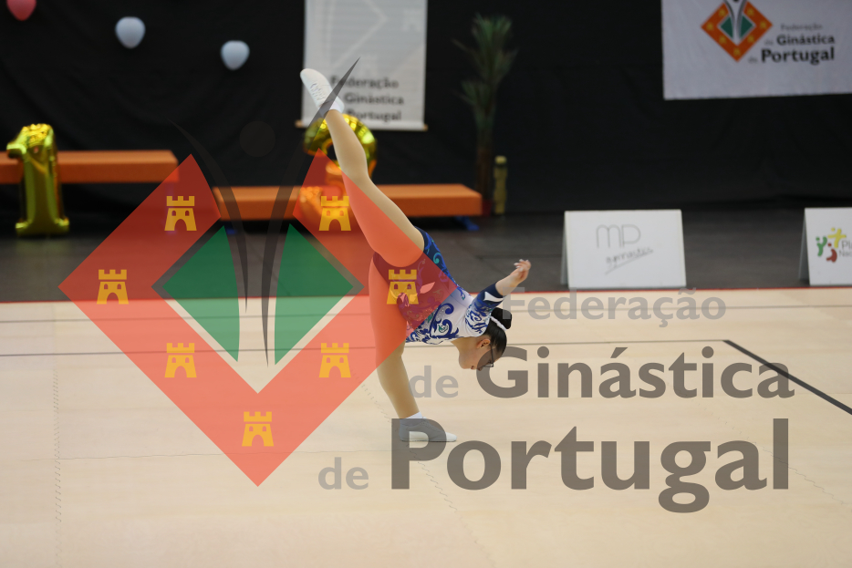 1050_Taça de Portugal AER